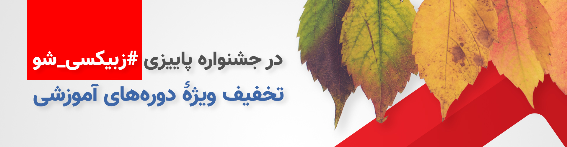 Zabbixi Sho - sadidafarin